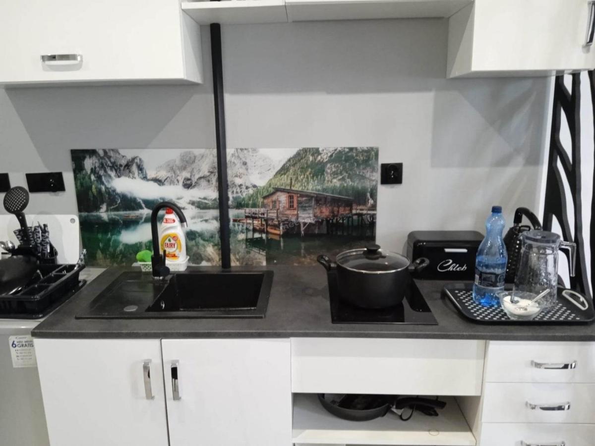 Komfortowy Apartament U Baltazara Apartman Duszniki Zdrój Kültér fotó